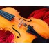 Veliko Nedyalkov-luthier violin viola y violonchelo 